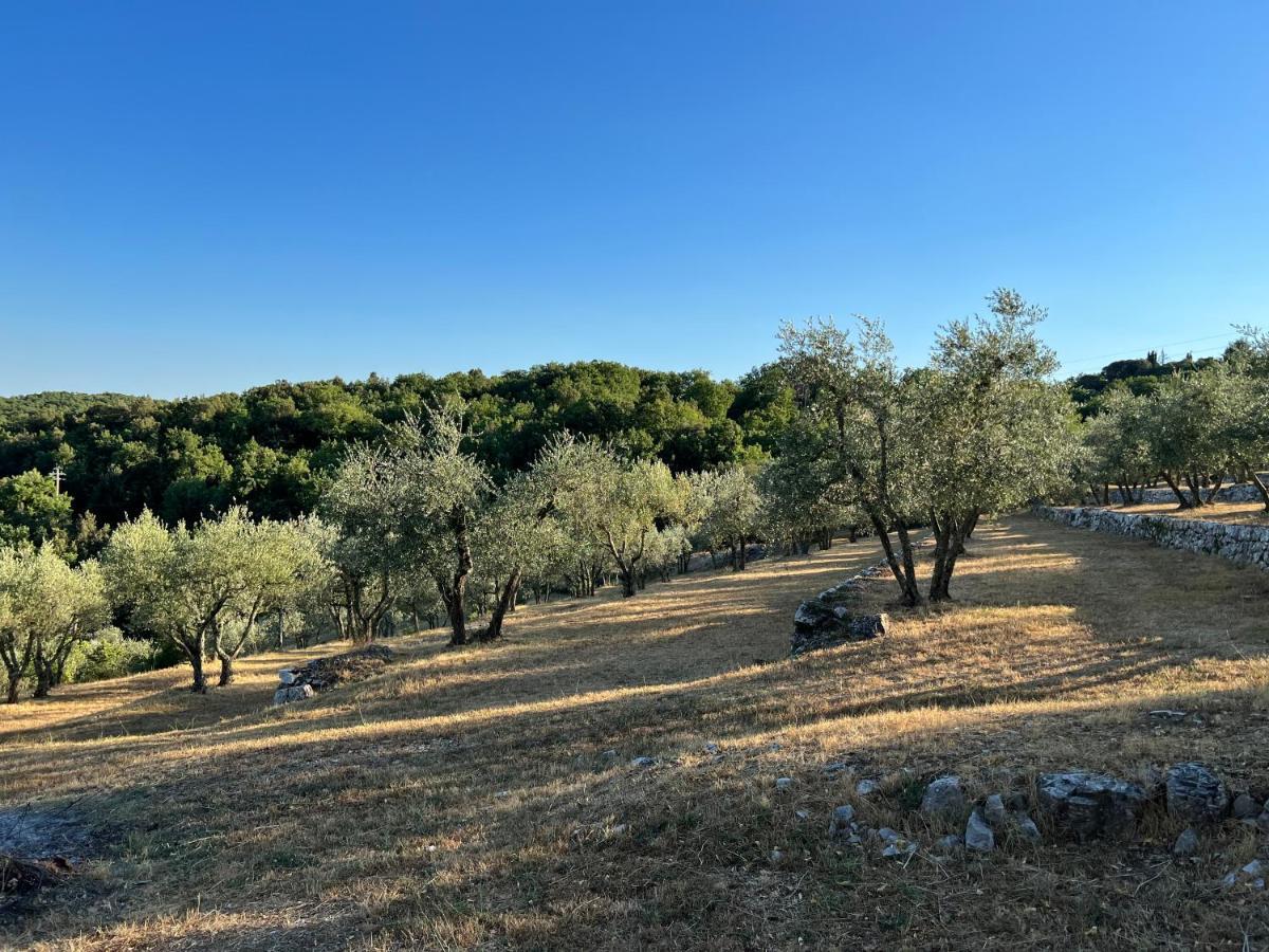 Casa Vanina In Toscana Villa Castellina in Chianti Eksteriør bilde